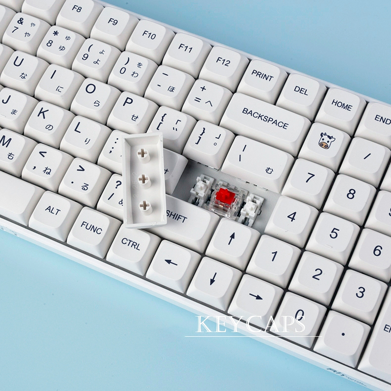 Minimalist White PBT Keycaps 1 - Retro Gaming Keycaps review and price